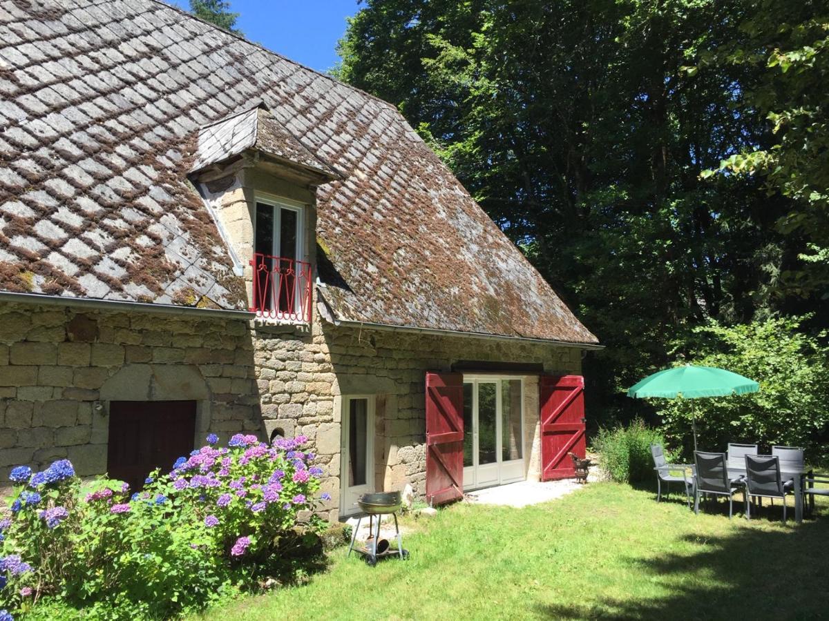 Gites Chateau Le Bois Saint-Julien-aux-Bois Ngoại thất bức ảnh