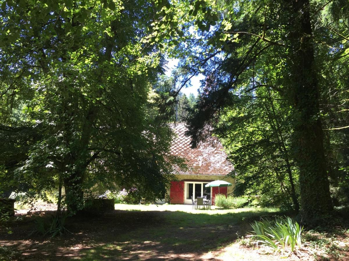 Gites Chateau Le Bois Saint-Julien-aux-Bois Ngoại thất bức ảnh