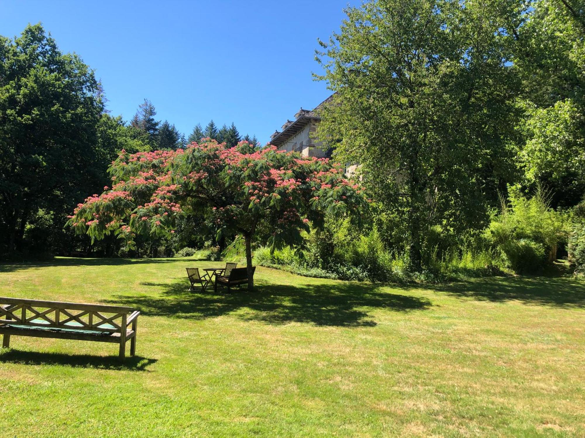 Gites Chateau Le Bois Saint-Julien-aux-Bois Ngoại thất bức ảnh