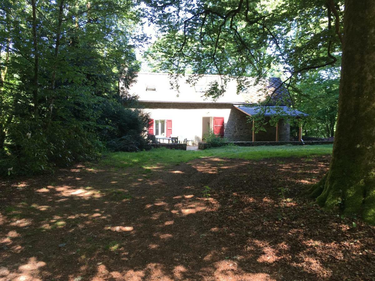 Gites Chateau Le Bois Saint-Julien-aux-Bois Ngoại thất bức ảnh