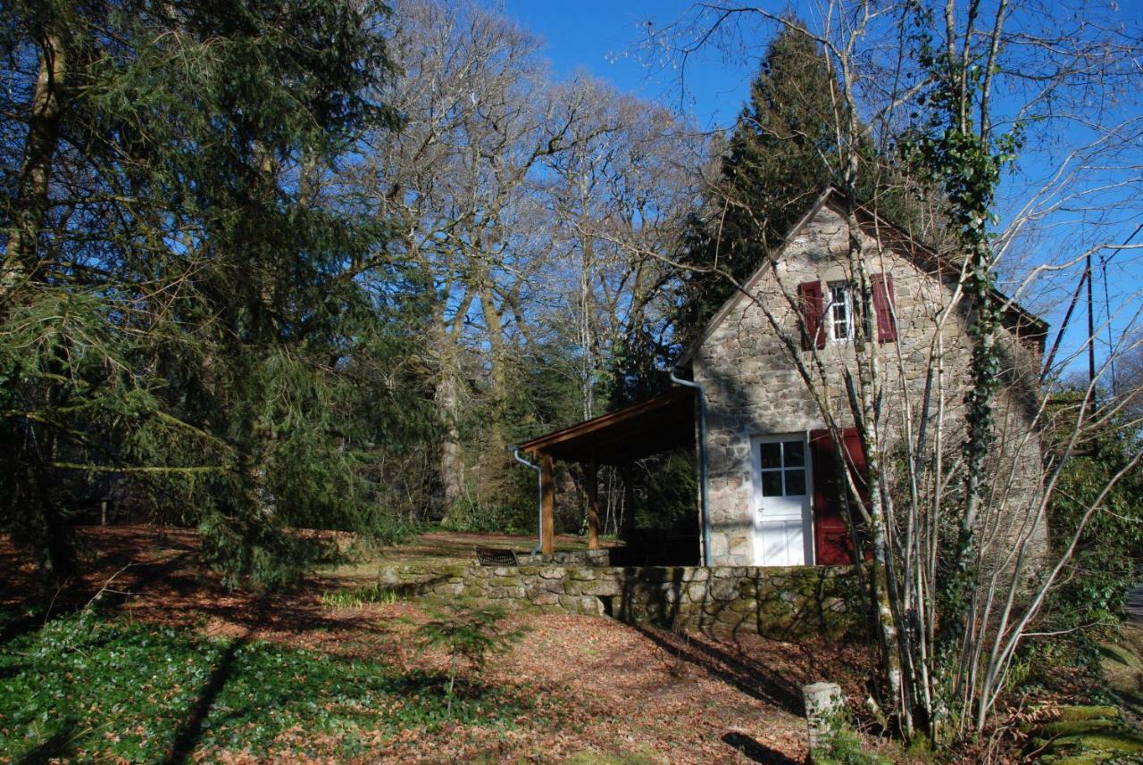 Gites Chateau Le Bois Saint-Julien-aux-Bois Ngoại thất bức ảnh